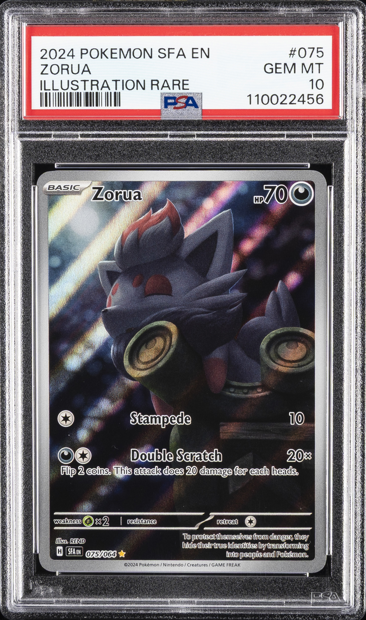 Zorua