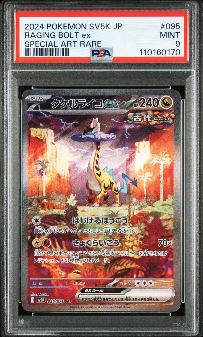 Raging Bolt ex - 095/071