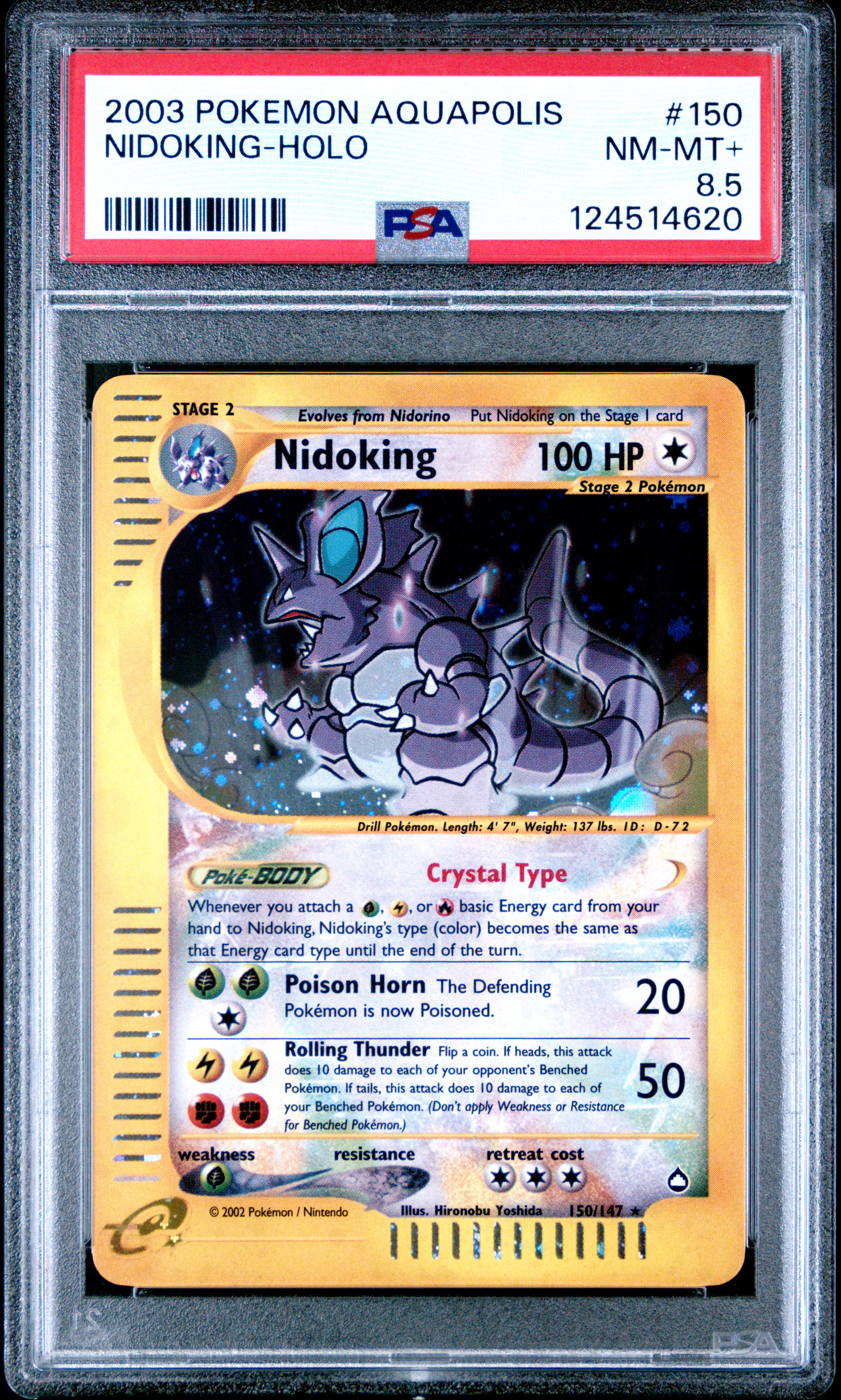 Nidoking-Holo