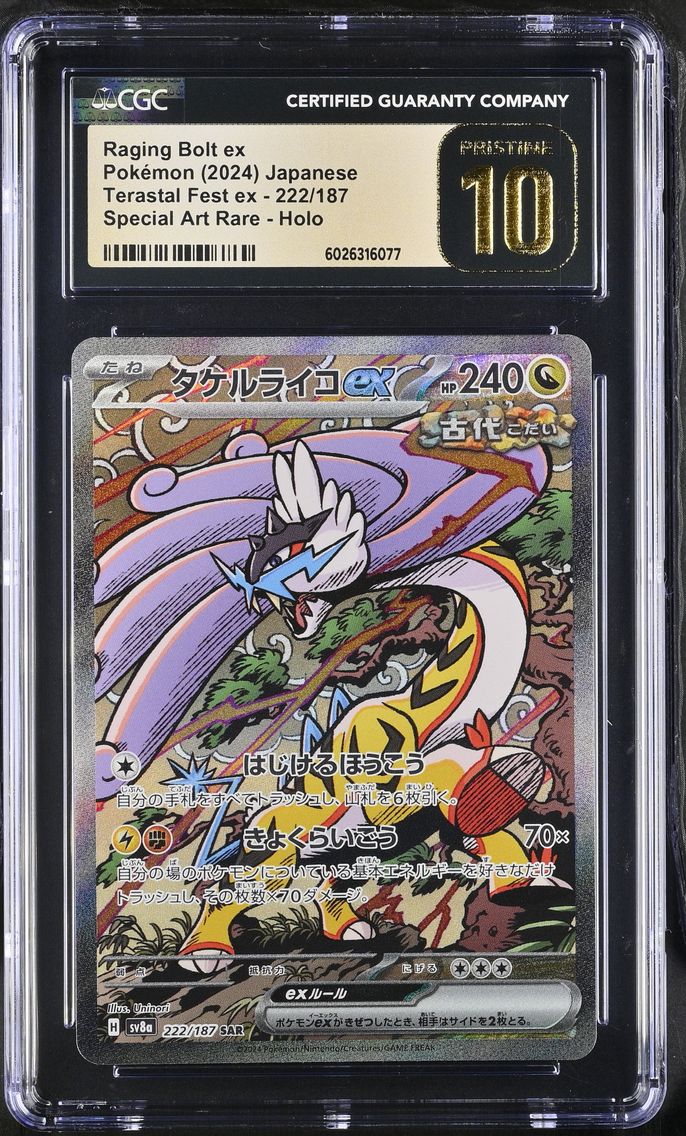 Raging Bolt ex - 222/187