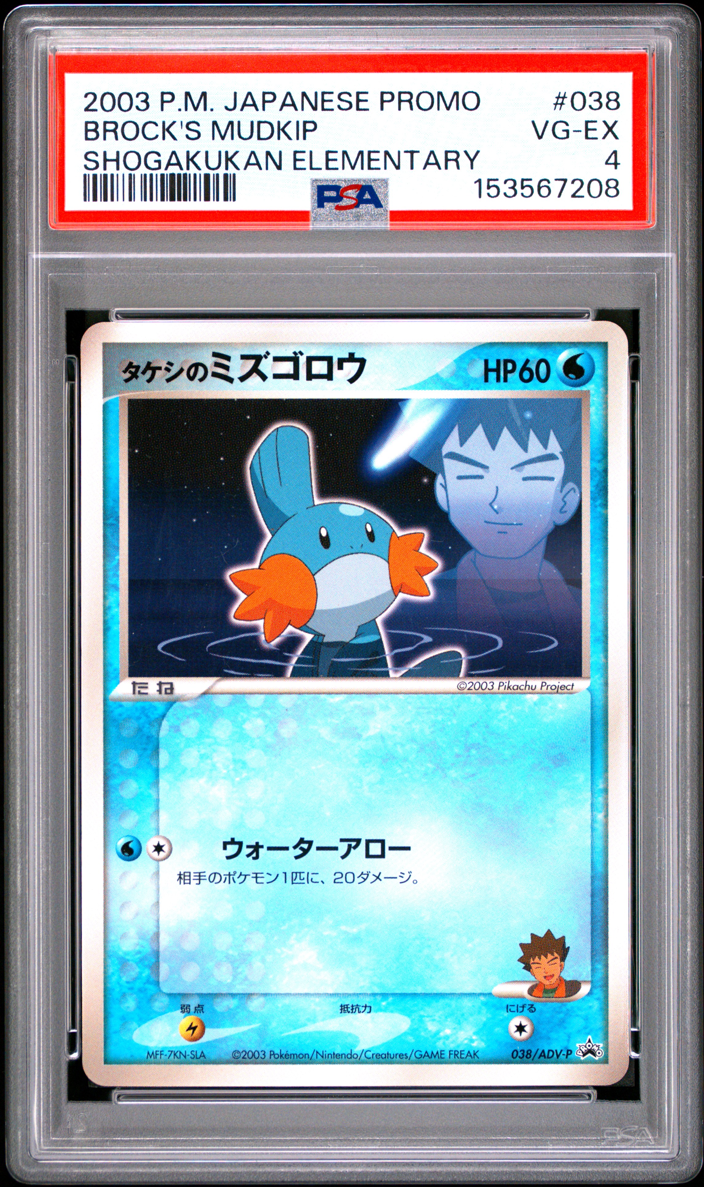 Brock's Mudkip