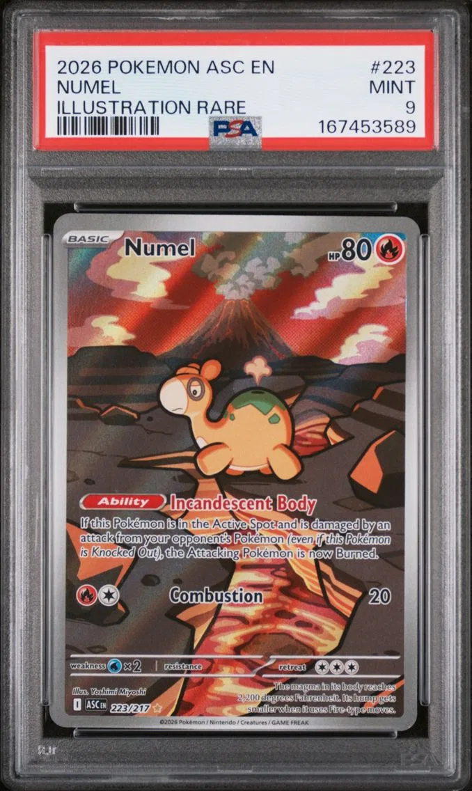 2026 Pokemon Asc EN-Ascended Heroes Numel Asc EN-Ascended Heroes #223 PSA 9