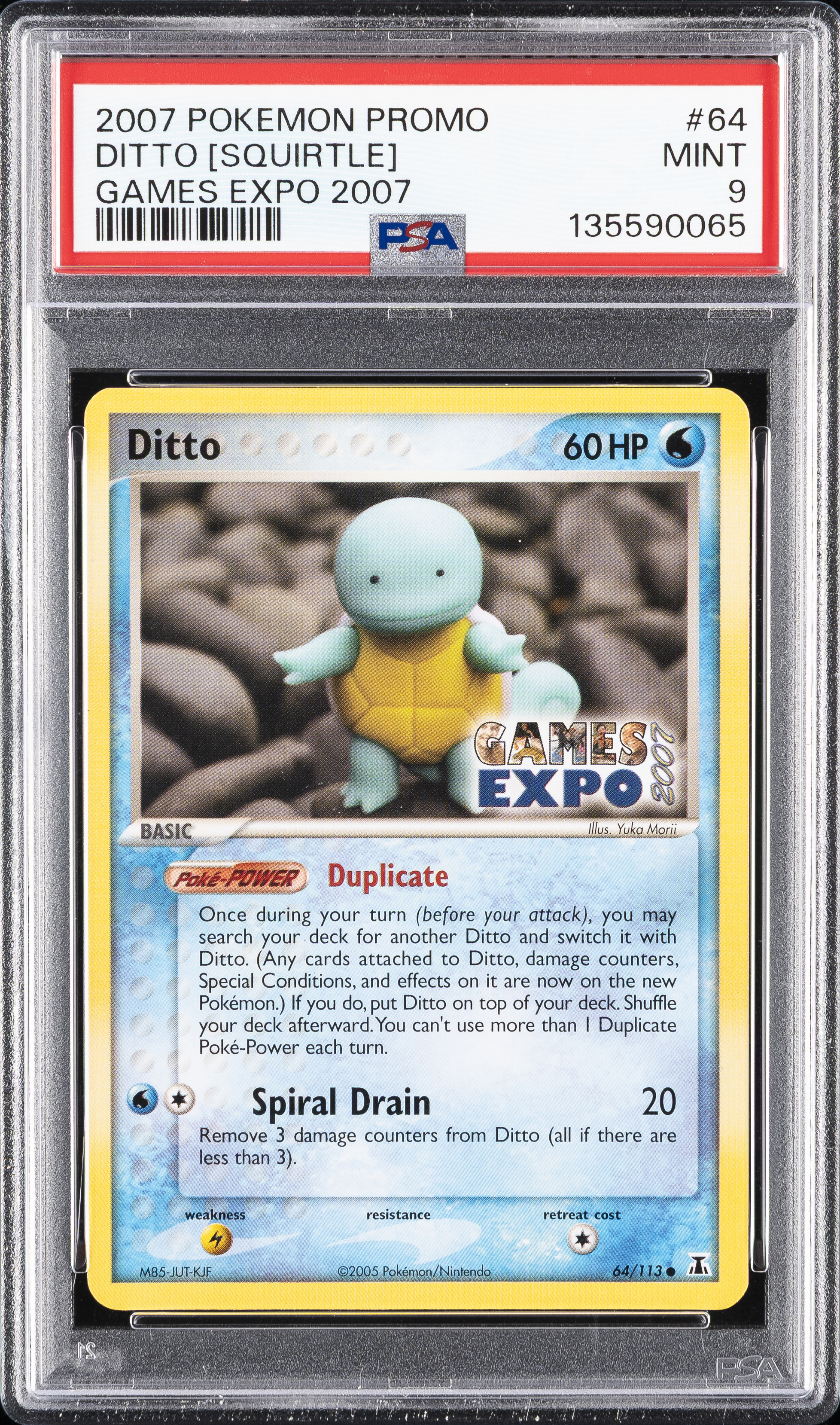 Ditto [Squirtle]