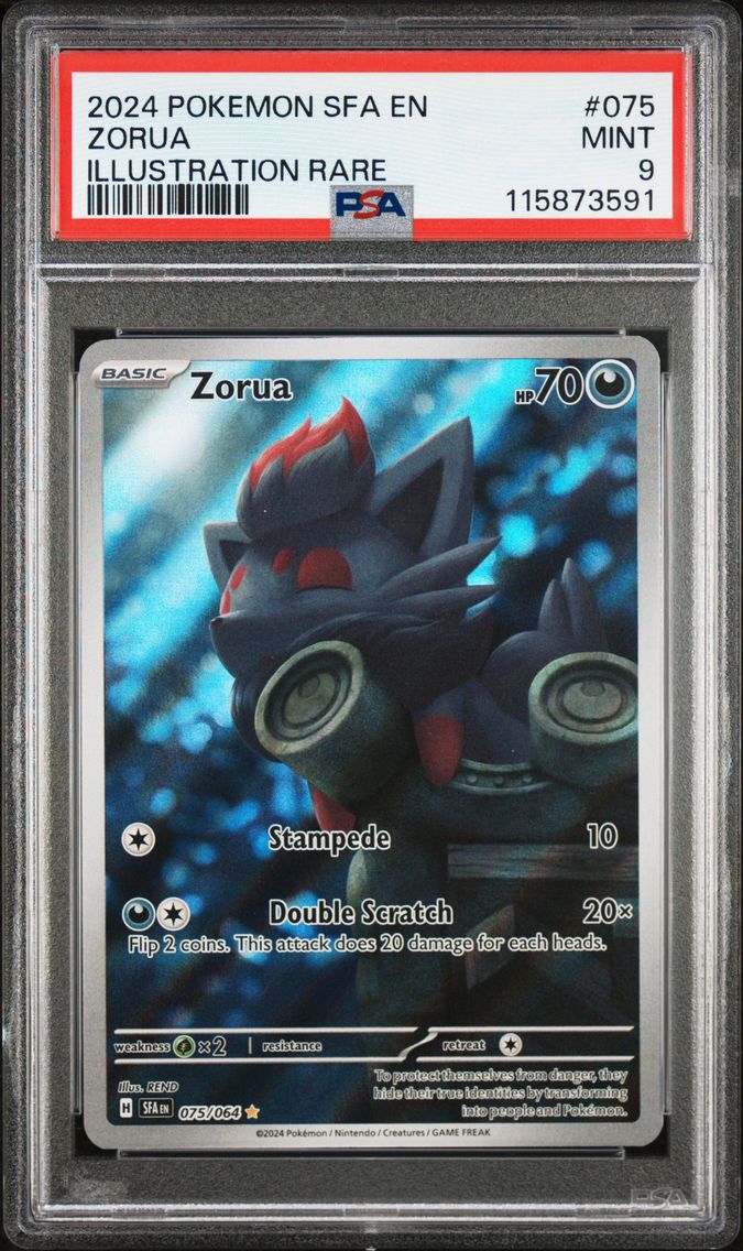2024 #075 Zorua PSA 9 Sfa EN-Shrouded Fable Pokemon