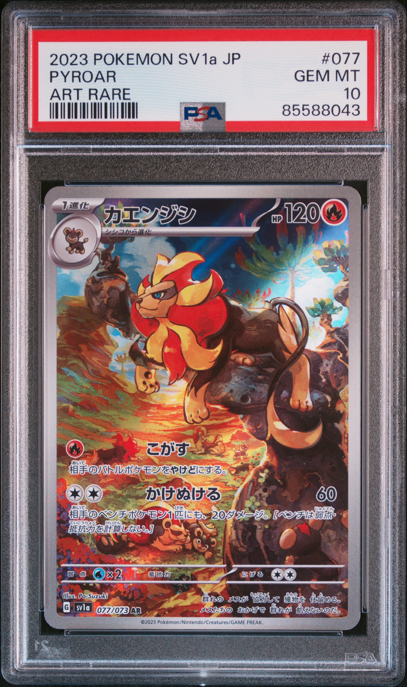 2023 #077 Pyroar PSA 10 Japanese Sv1a-Triplet Beat