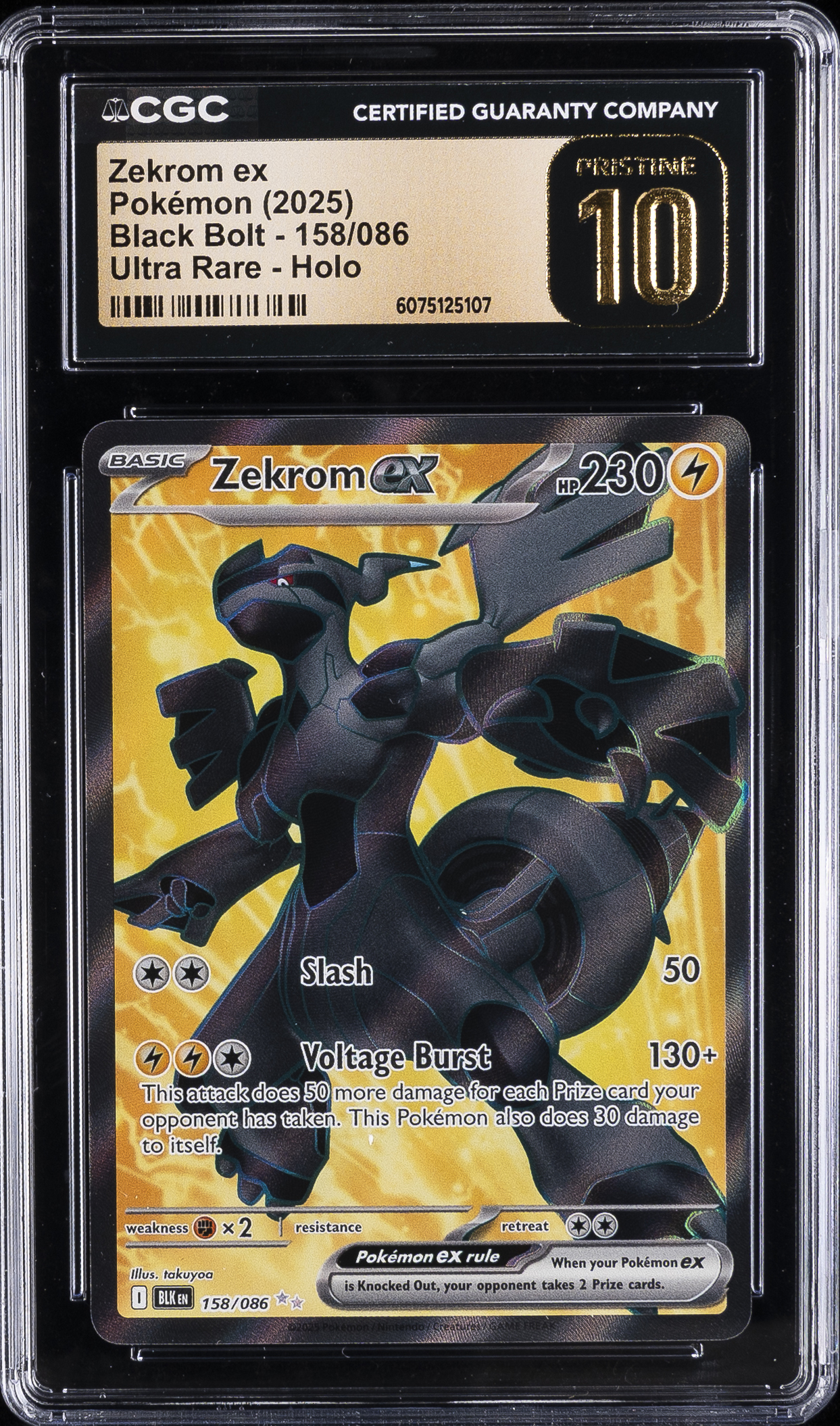 Zekrom ex