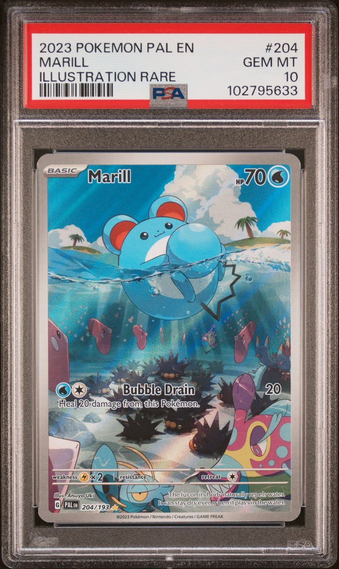 2023 #204 Marill PSA 10 Pal EN-P