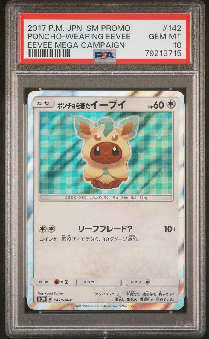 2017 #142 Poncho-Wearing Eevee P