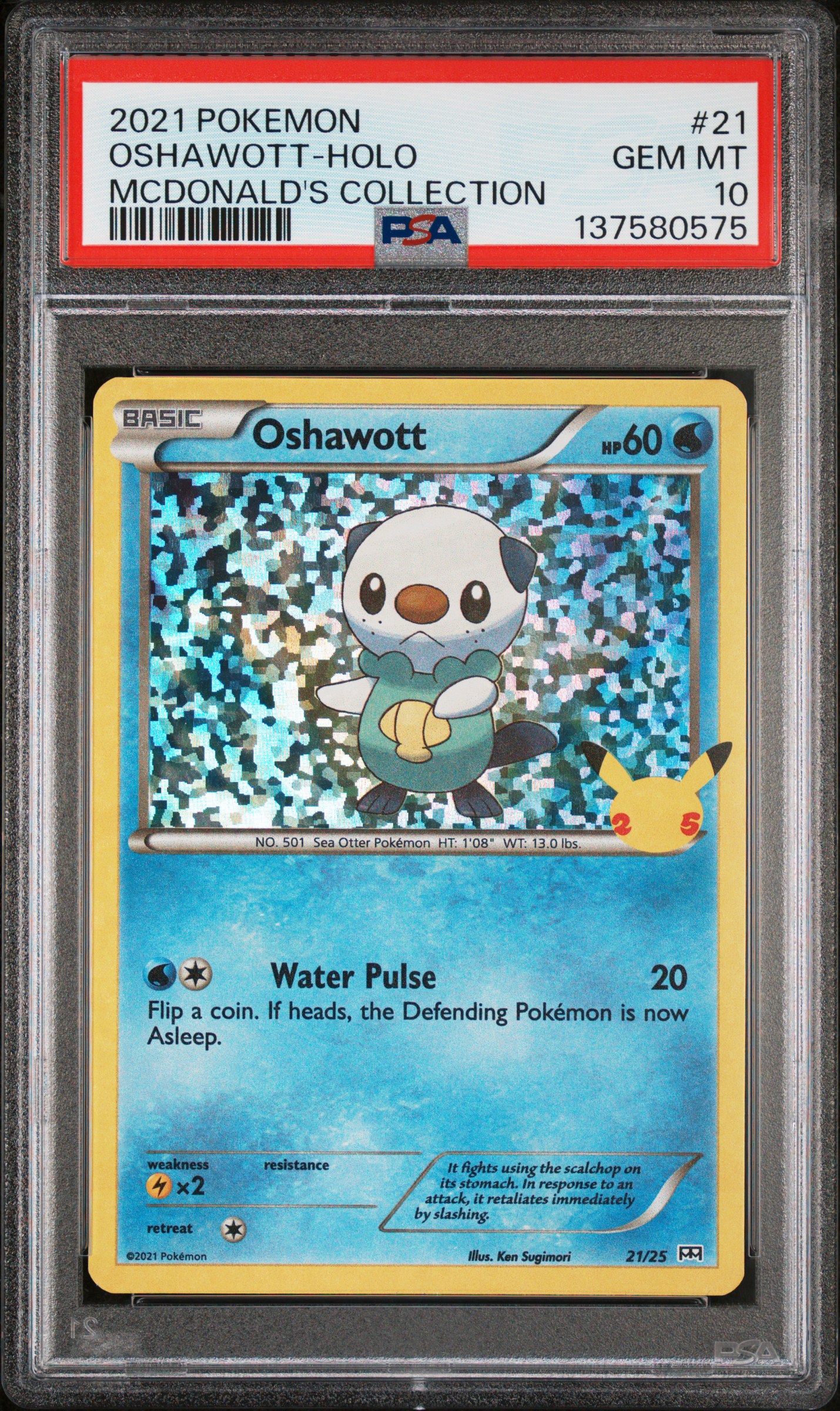 Oshawott-Holo