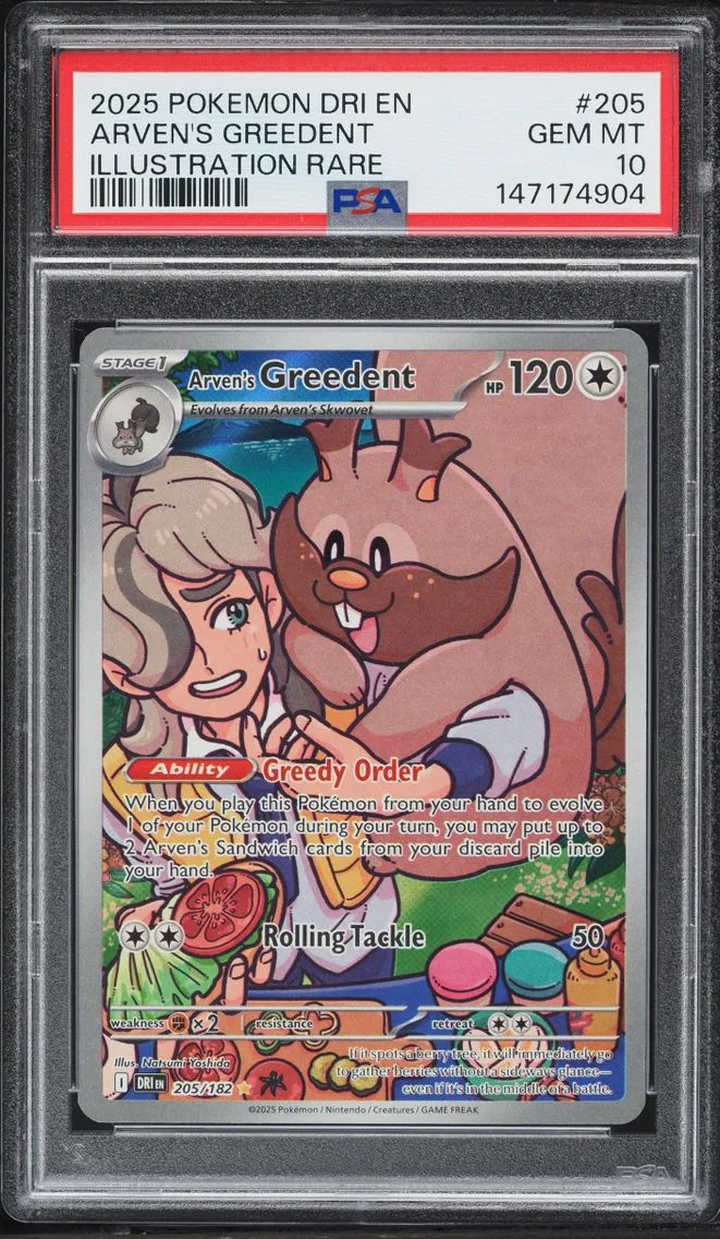 2025 Pokemon Scarlet & Violet Destined Rivals IR Arven's Greedent #205 PSA 10 GEM MINT