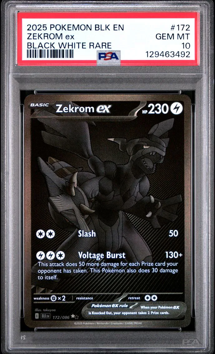 2025 #172 Zekrom EX PSA 10 Blk EN-Black Bolt