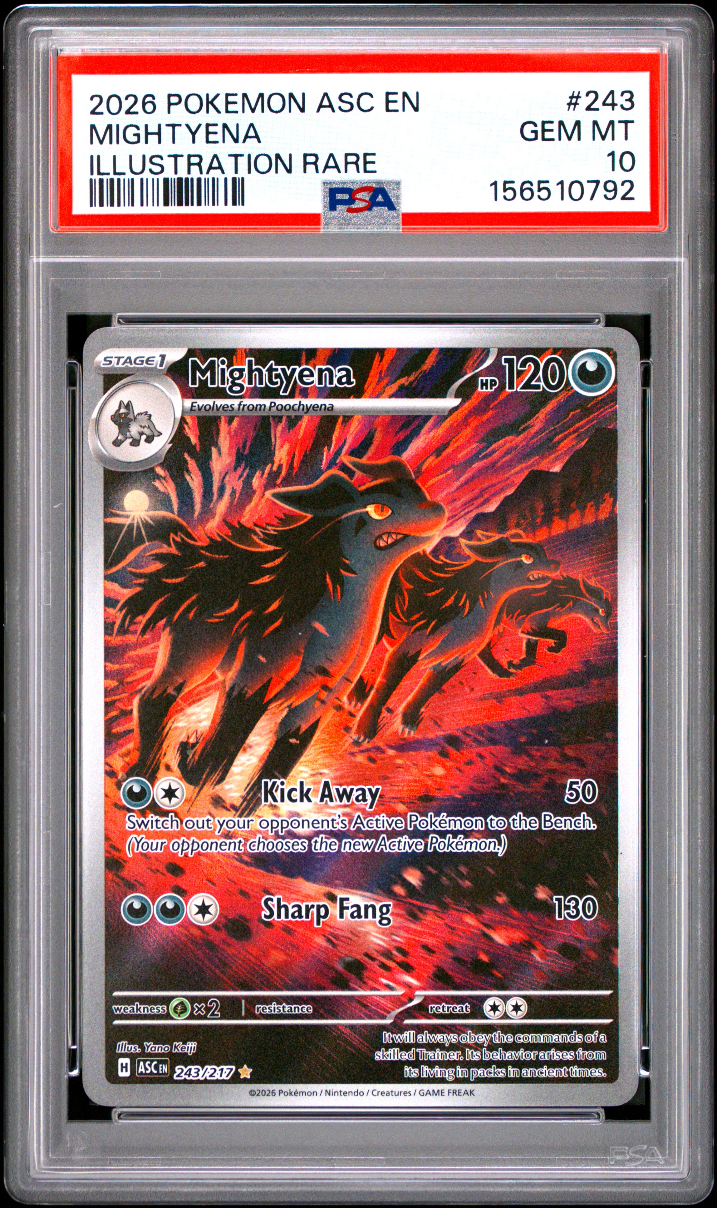 2026 #243 Mightyena PSA 10 Asc En-Ascended Heroes