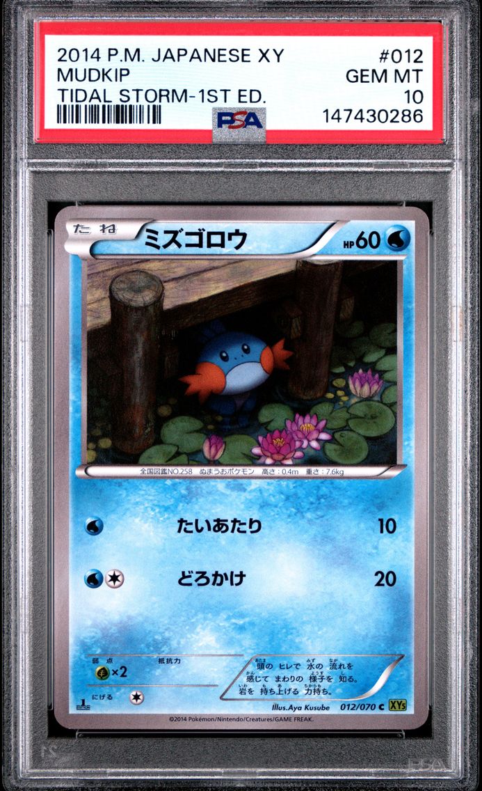 2014 #012 Mudkip 1st Edition PSA