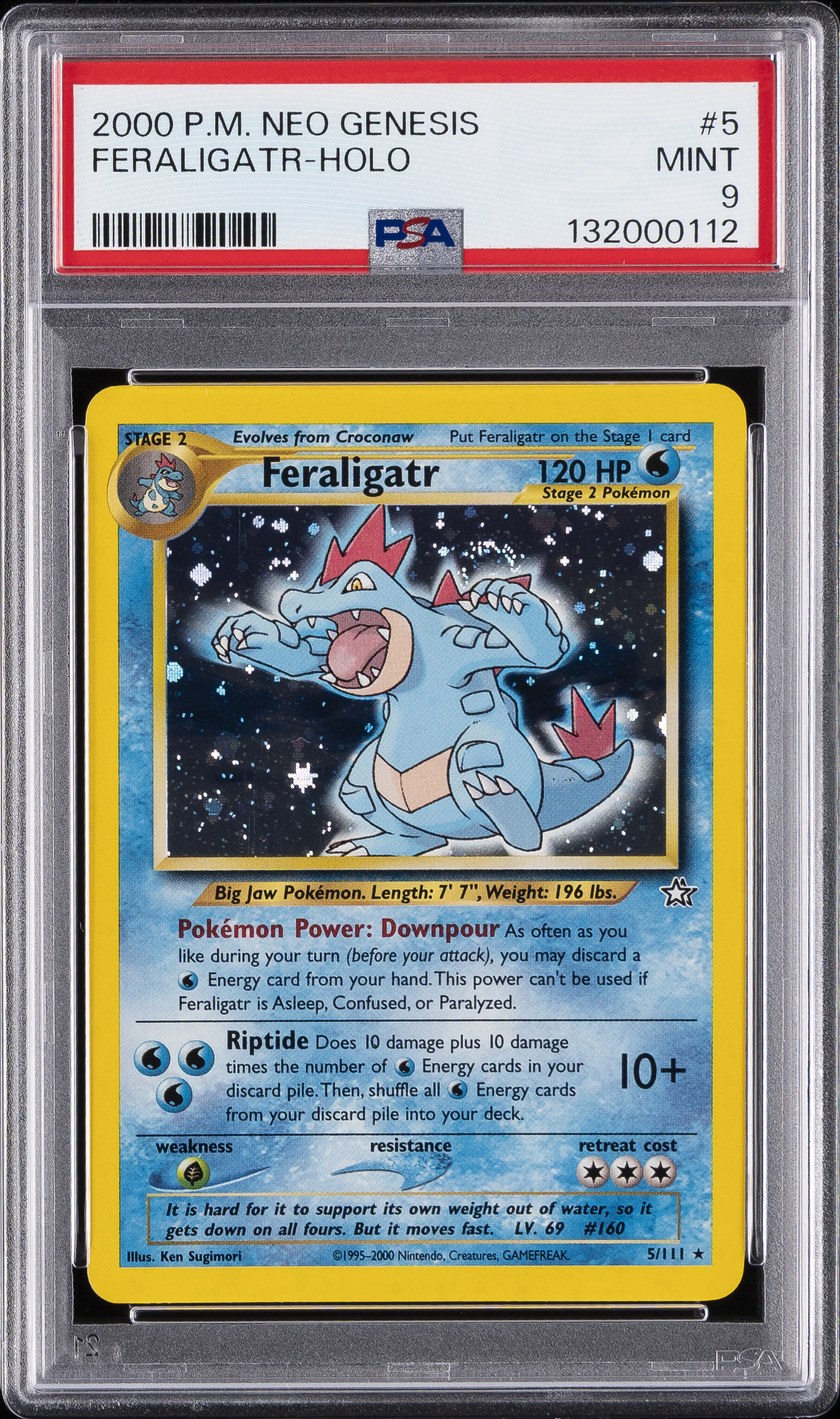 Feraligatr-Holo