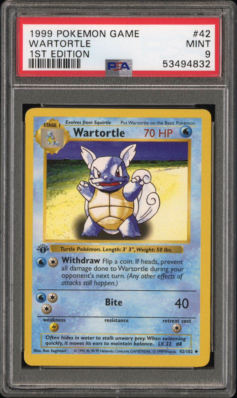 Wartortle 1st Edition
