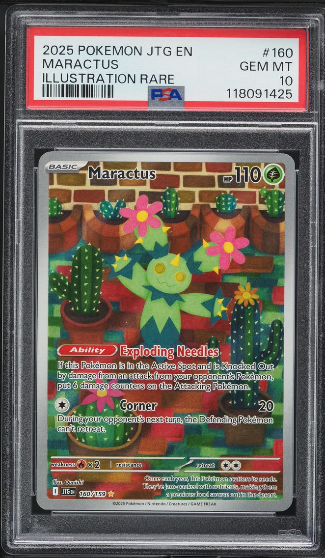 Maractus - 160/159