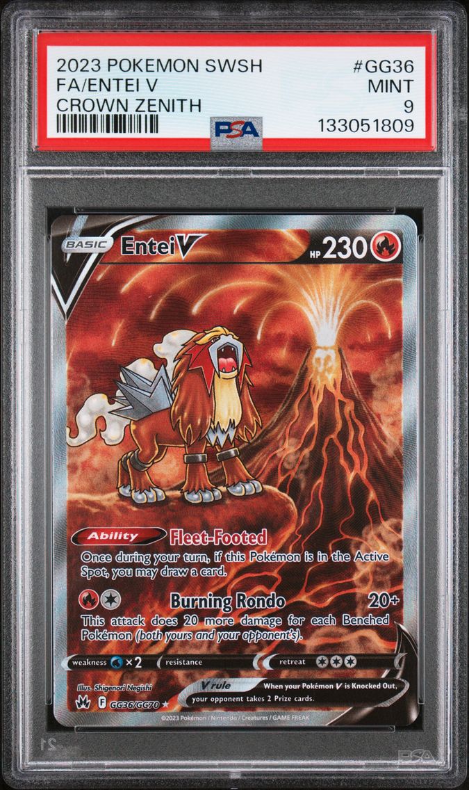 Entei V