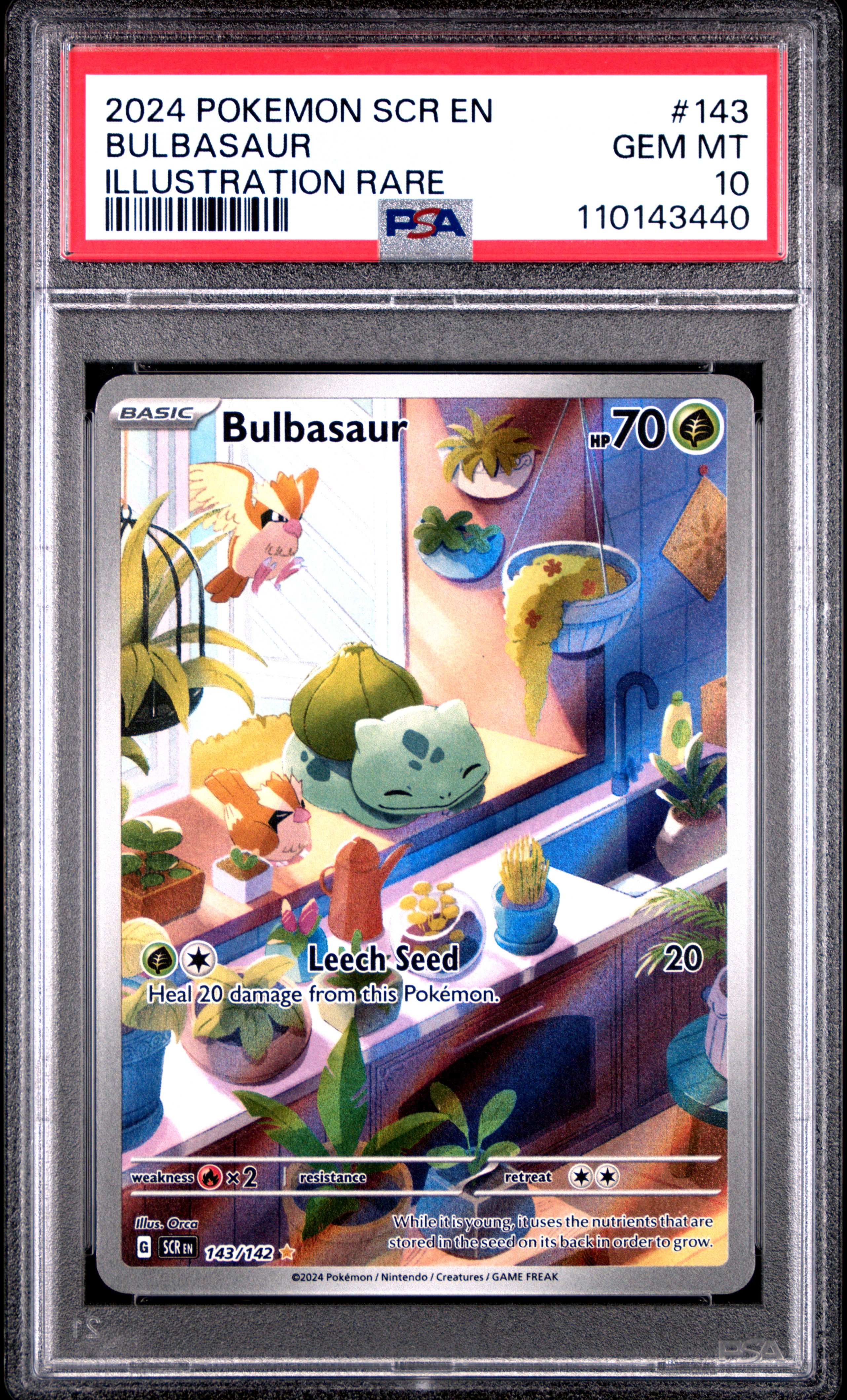 Bulbasaur