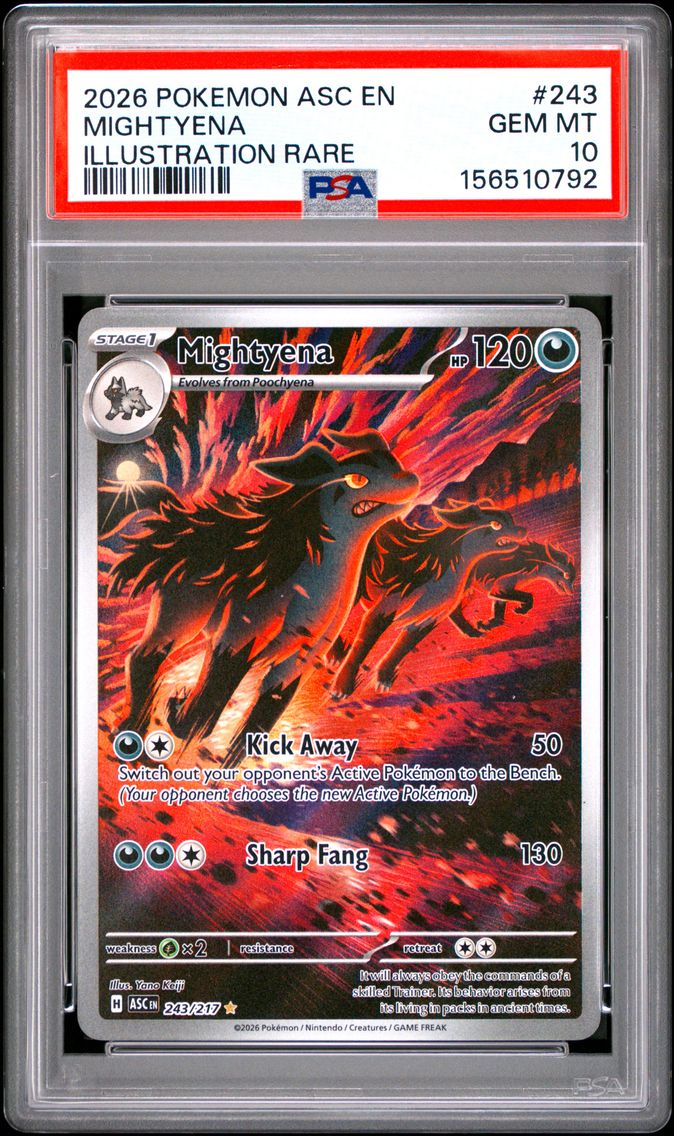 2026 #243 Mightyena PSA 10 Asc EN-Ascended Heroes