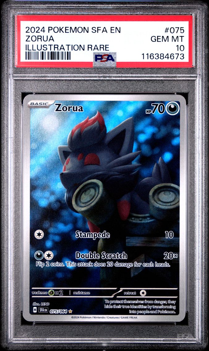 2024 #075 Zorua PSA 10 Sfa EN-Shrouded Fable Pokemon