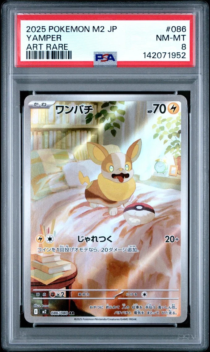 2025 #086 Yamper PSA 8 Japanese