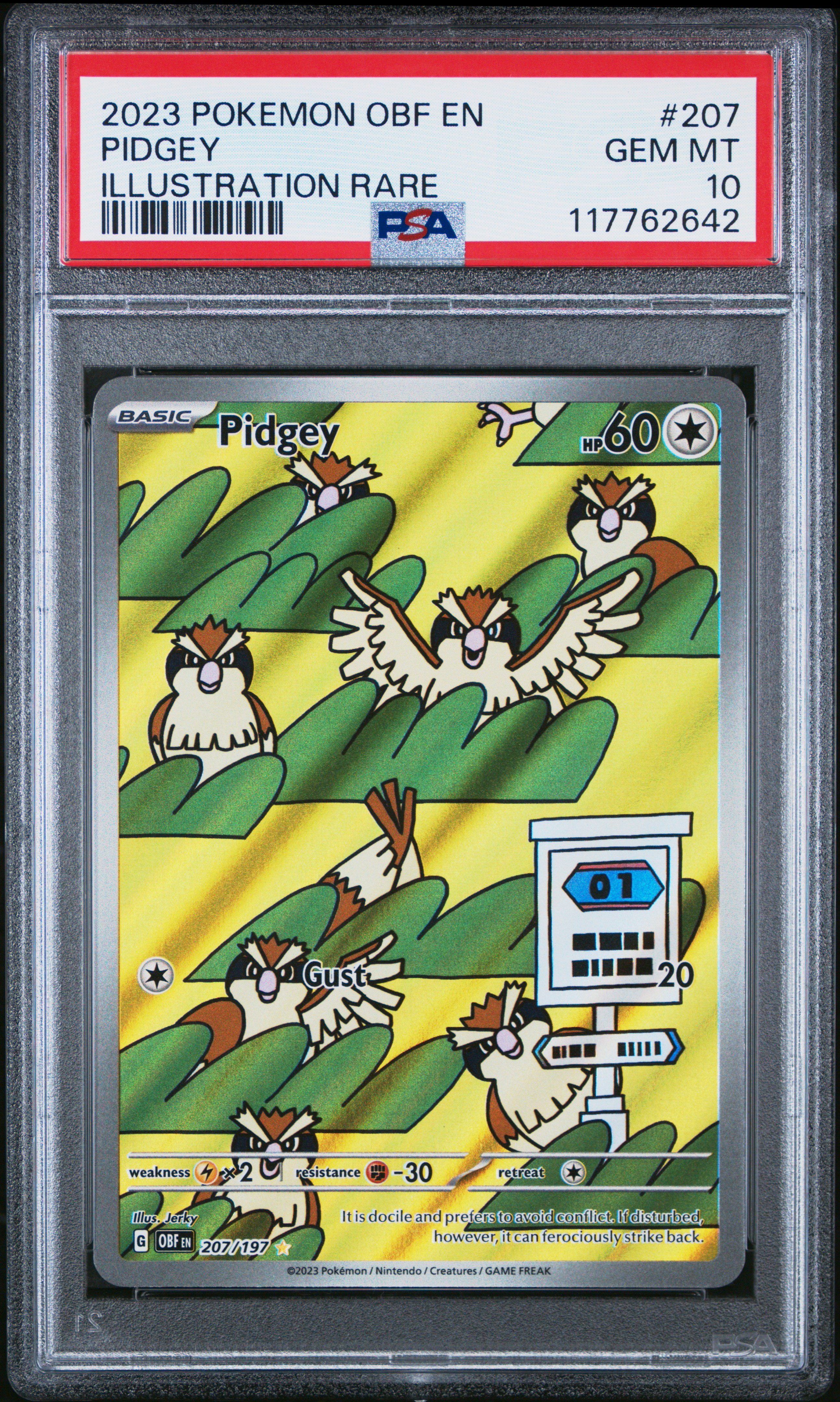 Pidgey