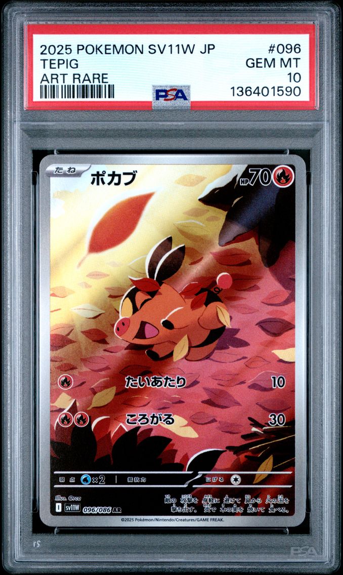 2025 #096 Tepig PSA 10 Japanese Sv11w-White Flare Pokemon
