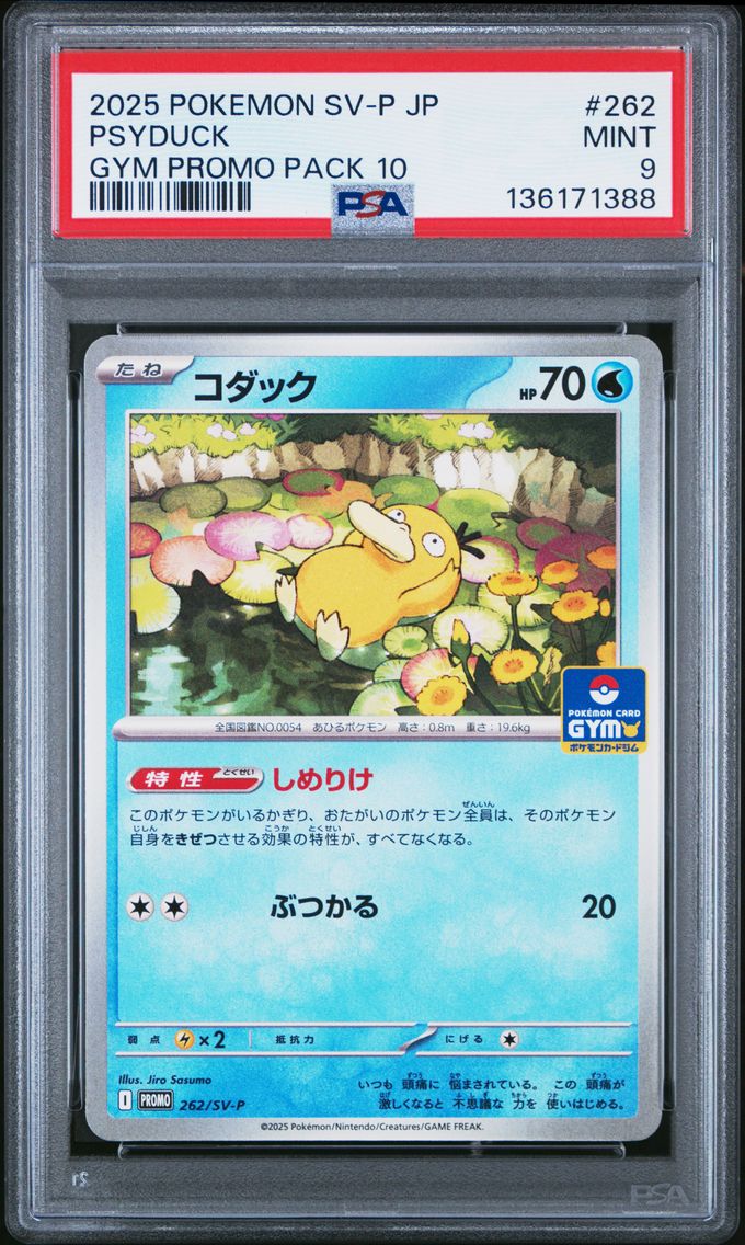 2025 #262 Psyduck PSA 9 Japanese SV-P Promo Pokemon