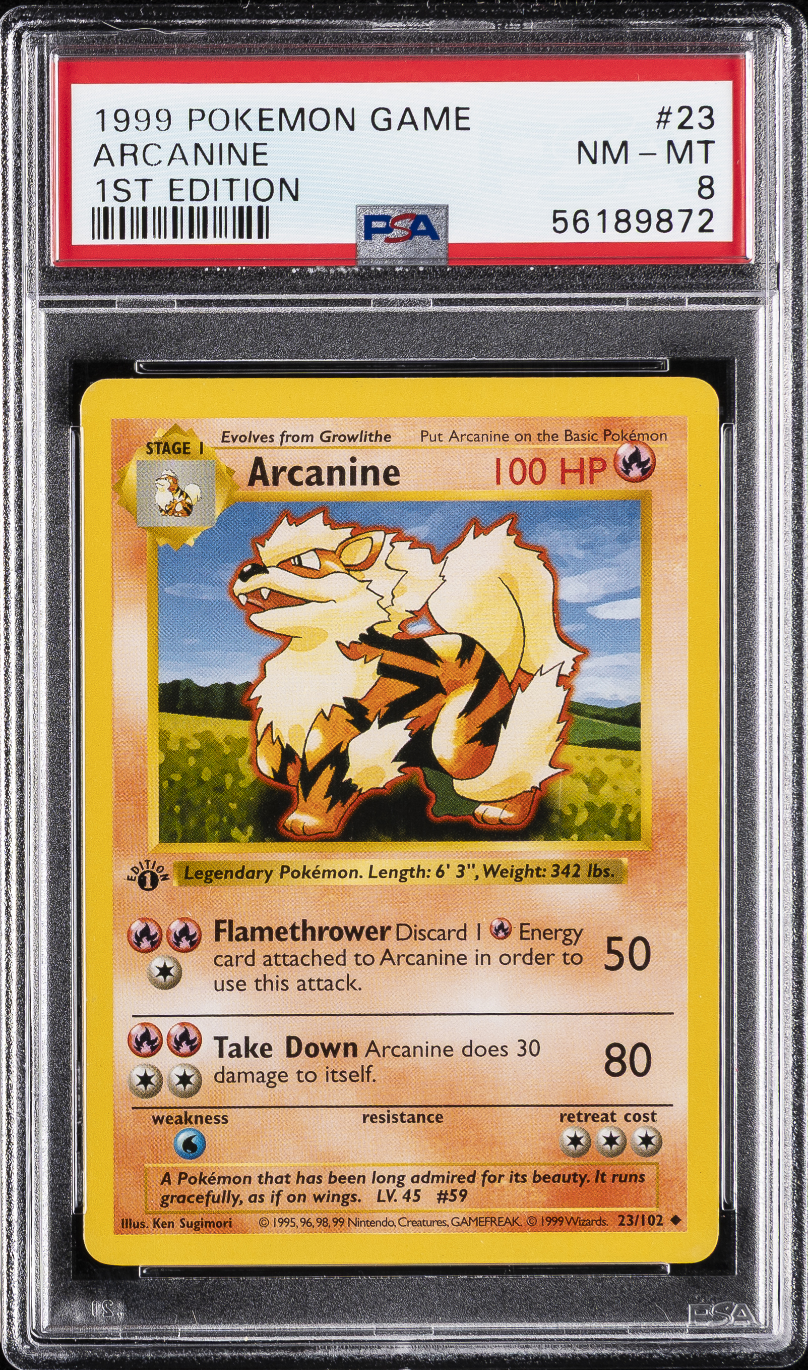 Arcanine 1st Edition