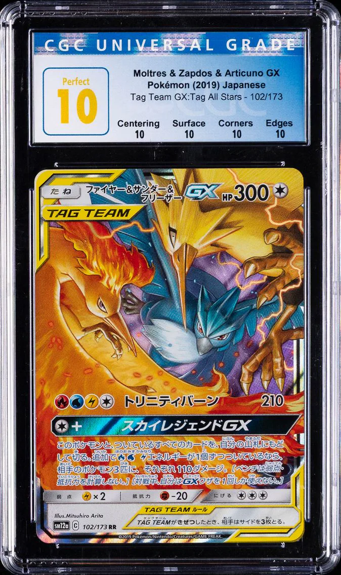 2019 #102 Moltres & Zapdos & Art