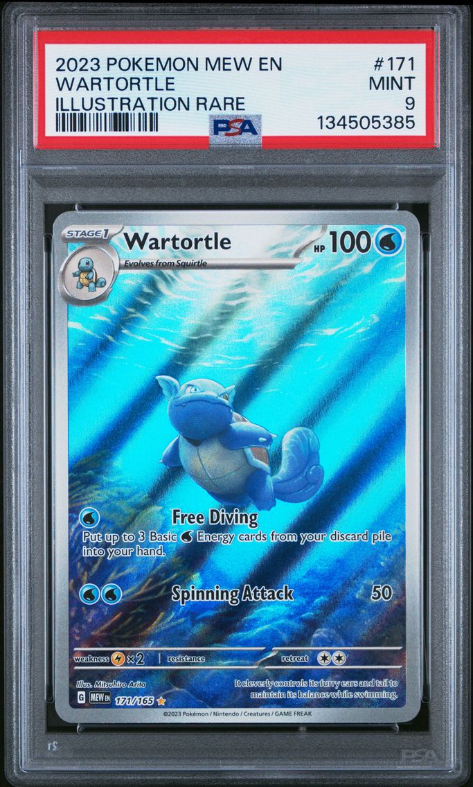 Wartortle - 171/165
