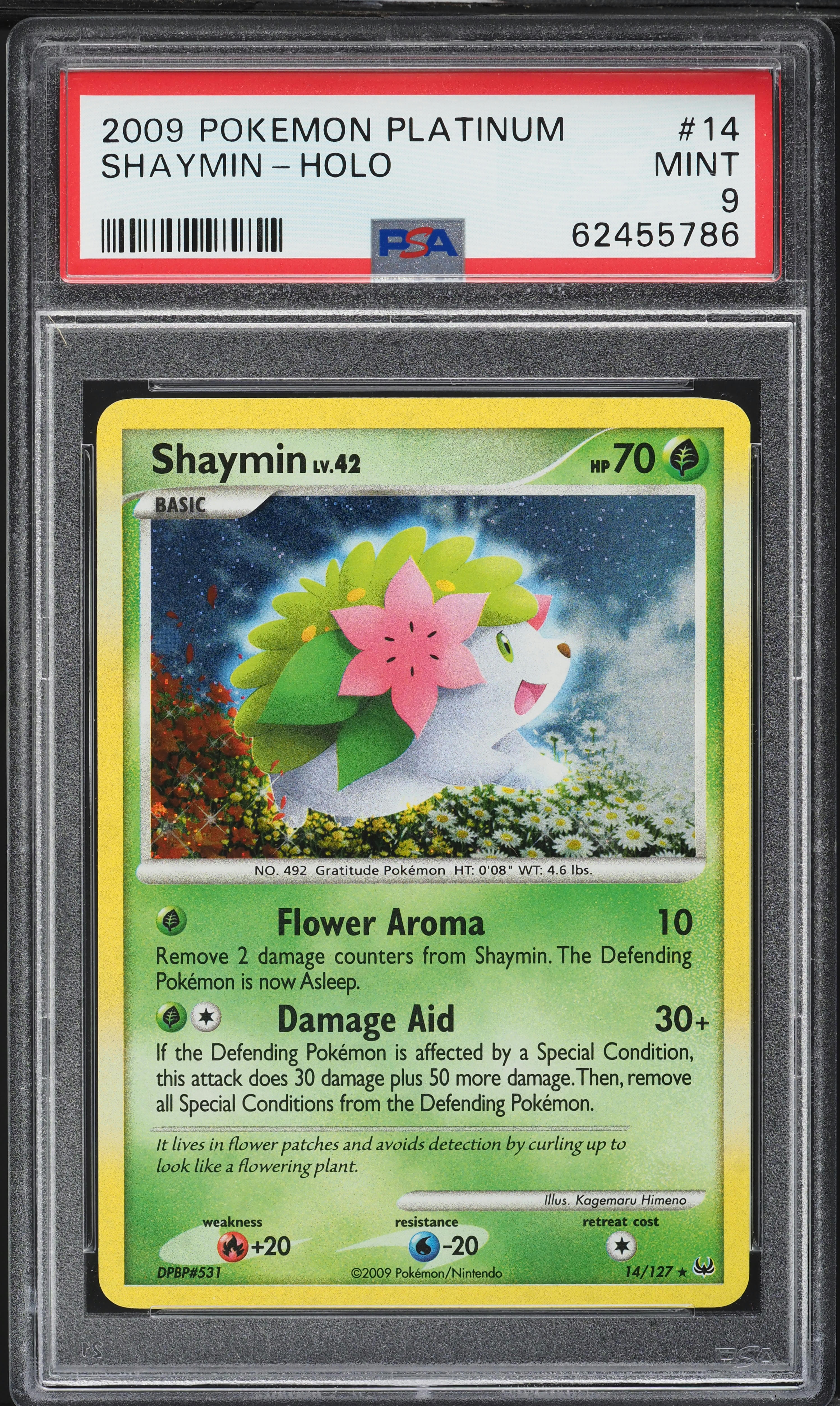 Shaymin-Holo