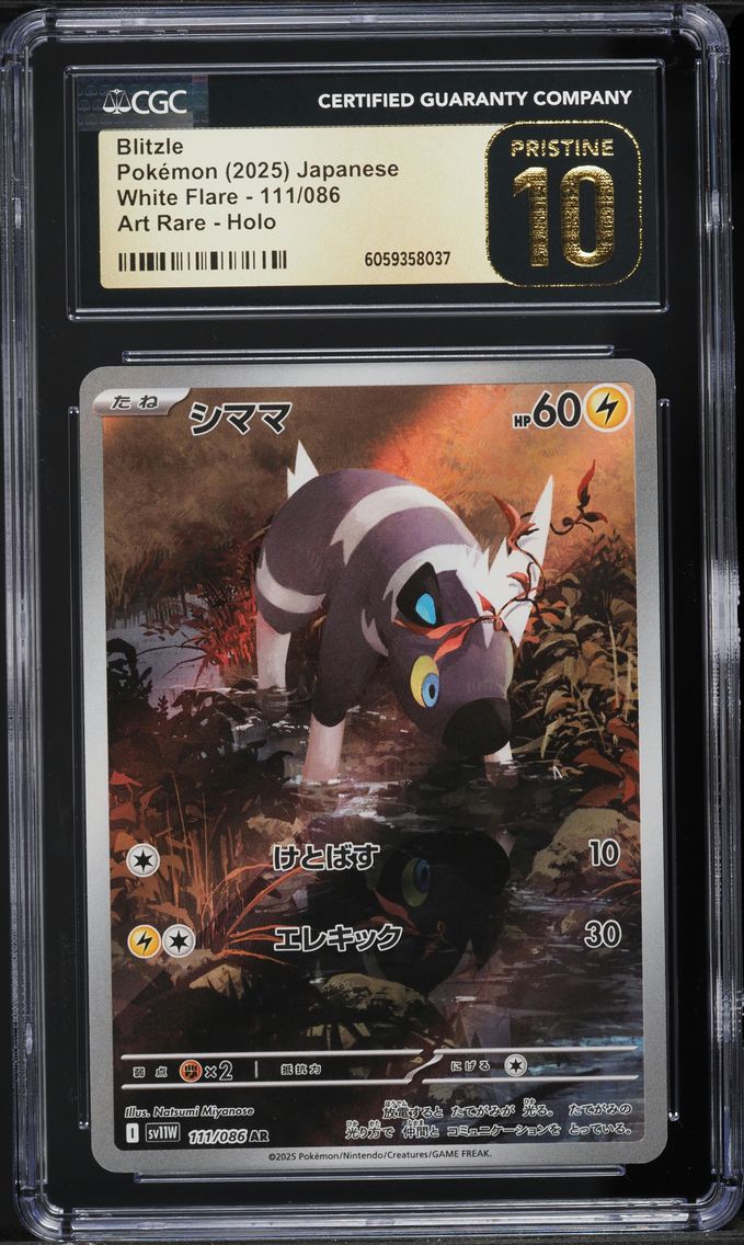 2025 #111 Blitzle CGC 10 Pristine White Flare - sv11W - Japanese Pokemon