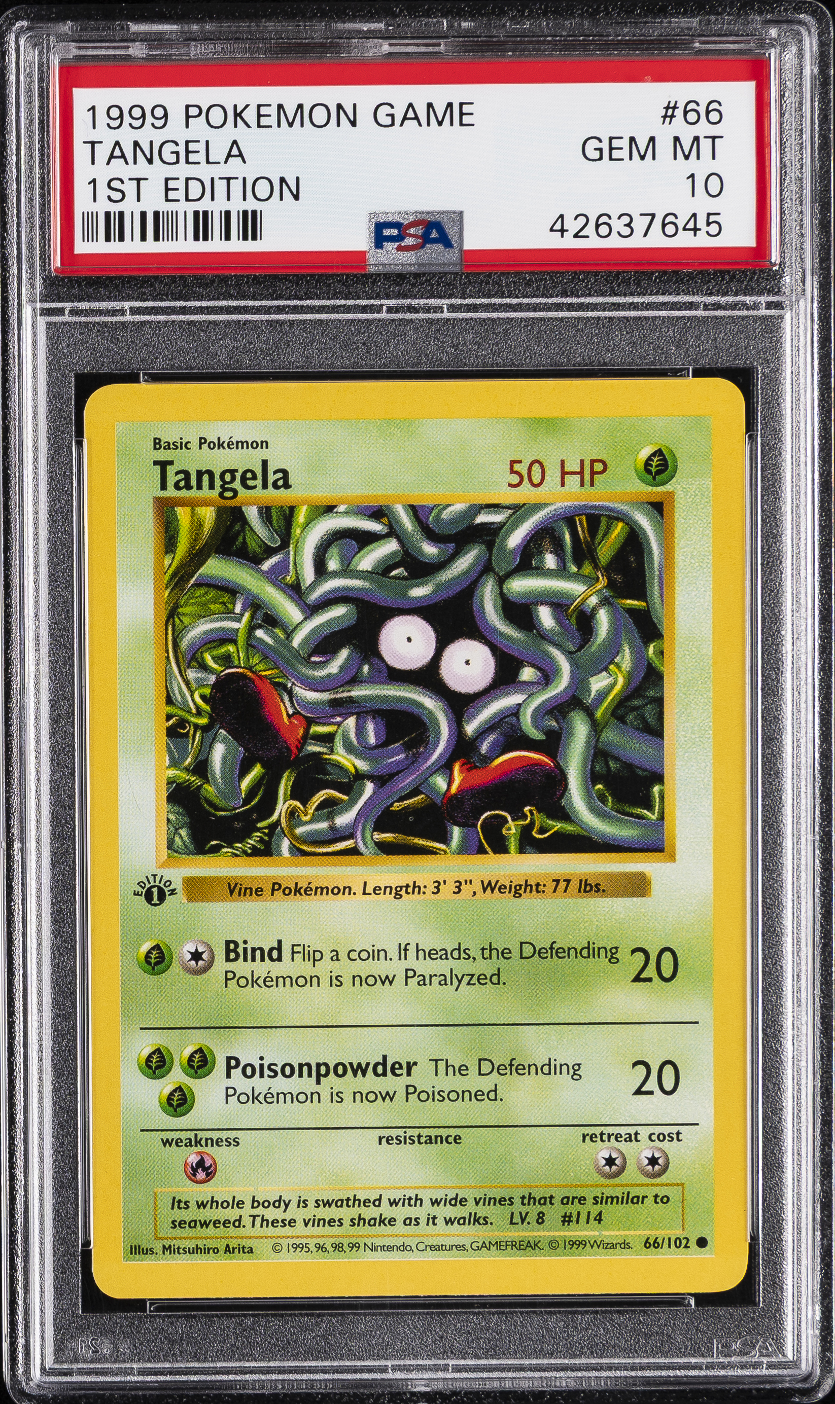 Tangela 1st Edition