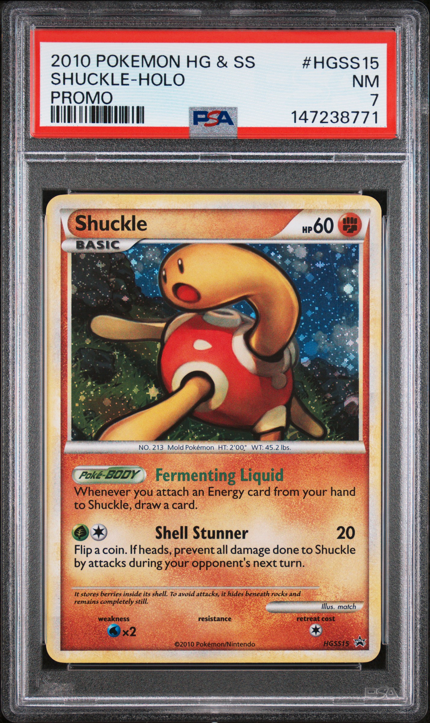 Shuckle-Holo