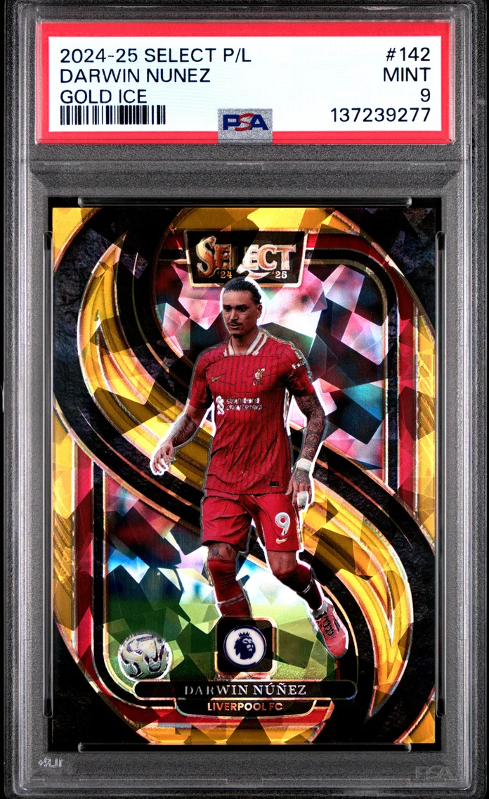 2024 #142 Darwin Nunez PSA 9 Panini Select Premier League