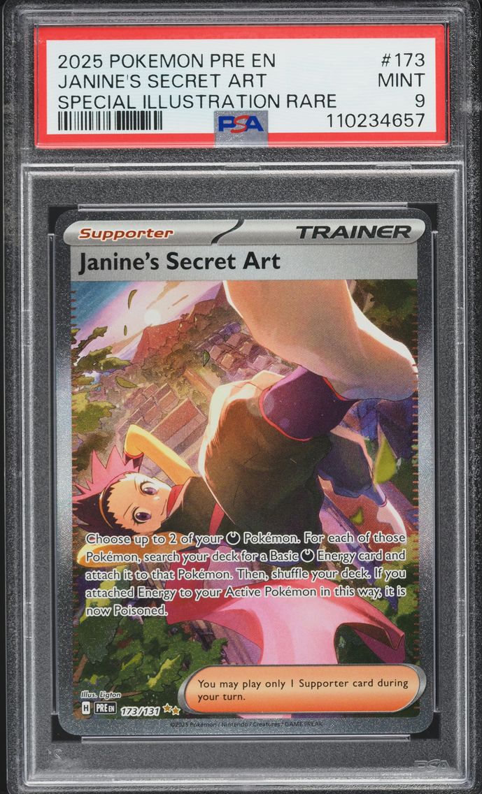 Janine's Secret Art - 173/131