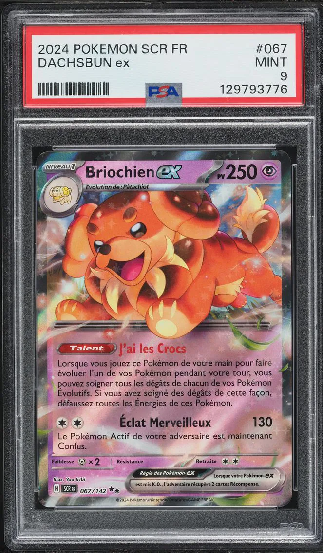 2024 #067 Dachsbun EX PSA 9 French Scr FR-Stellar Crown Pokemon