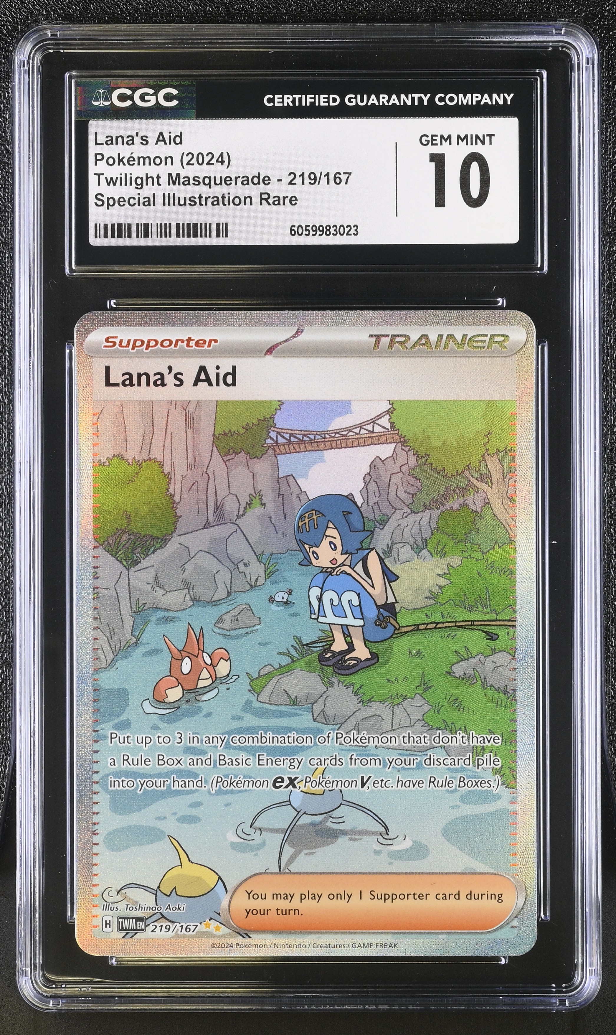 Lana's Aid