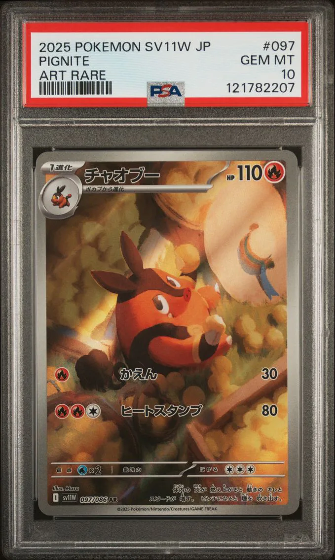 2025 #097 Pignite PSA 10 Japanese Sv11w-White Flare Pokemon