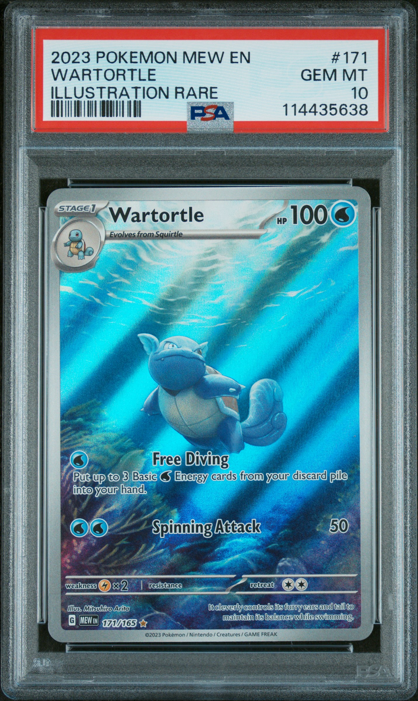 Wartortle