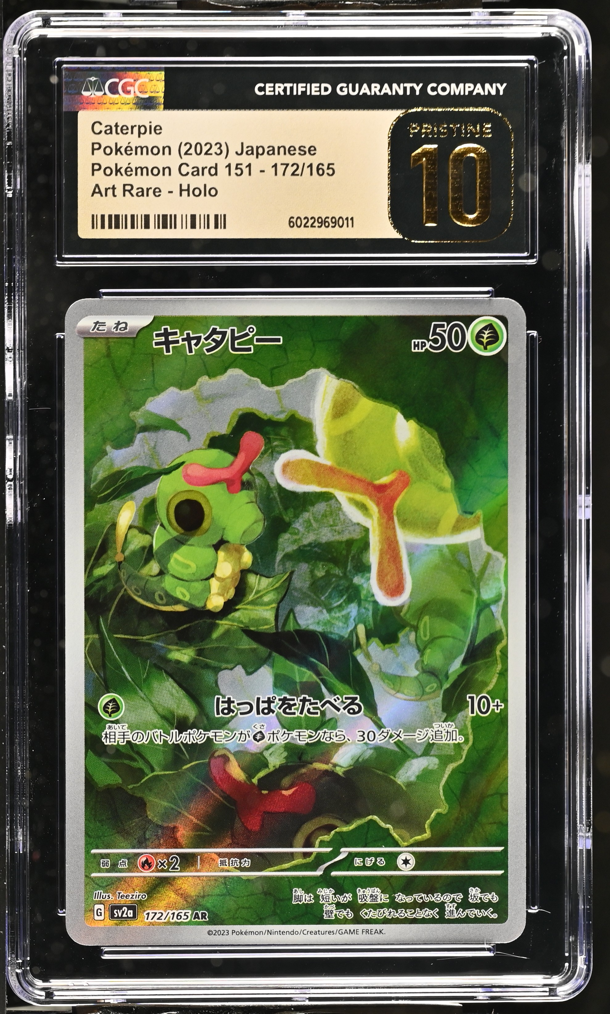 Caterpie