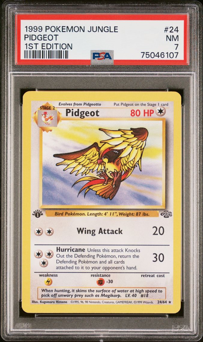Pidgeot (24)