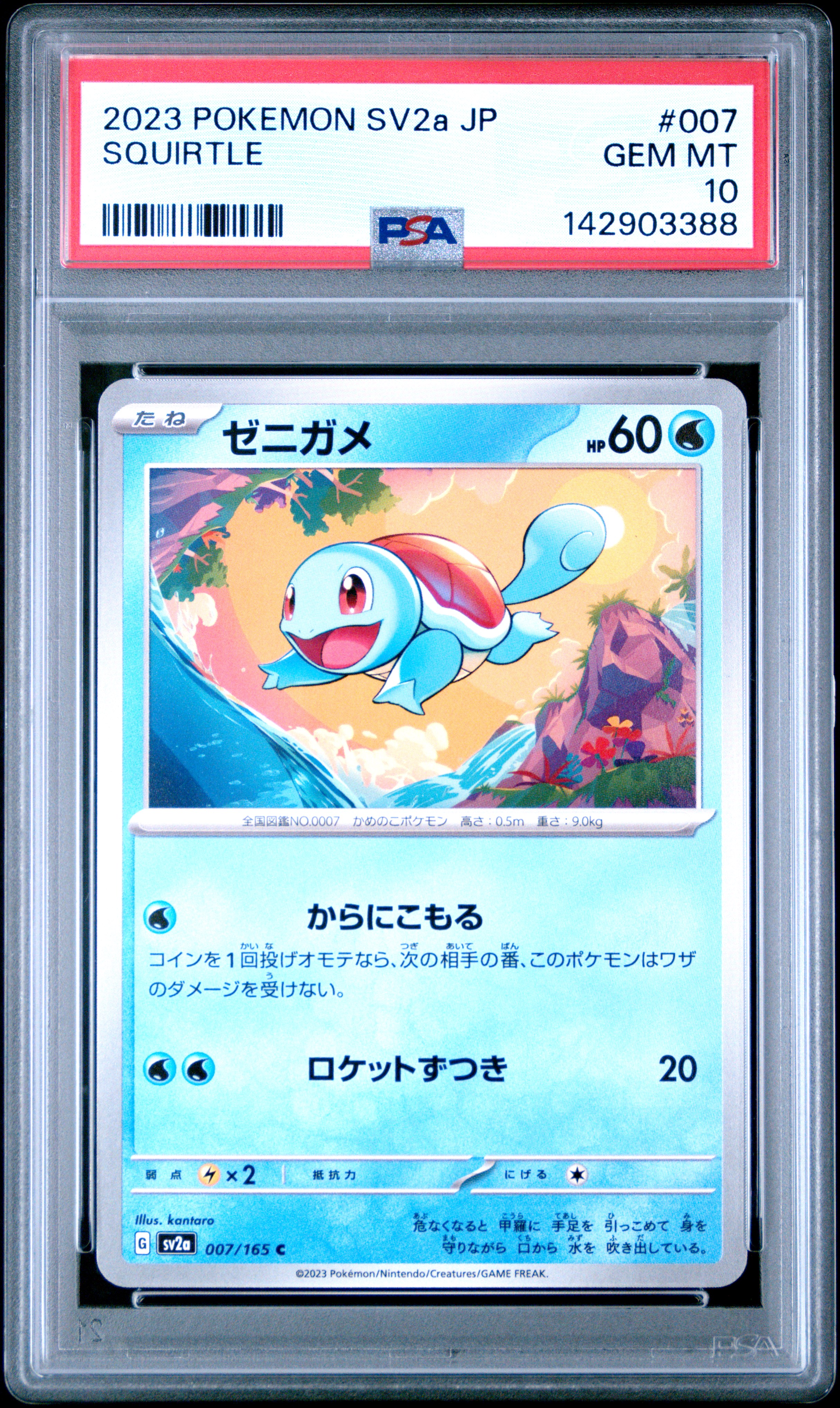 Squirtle