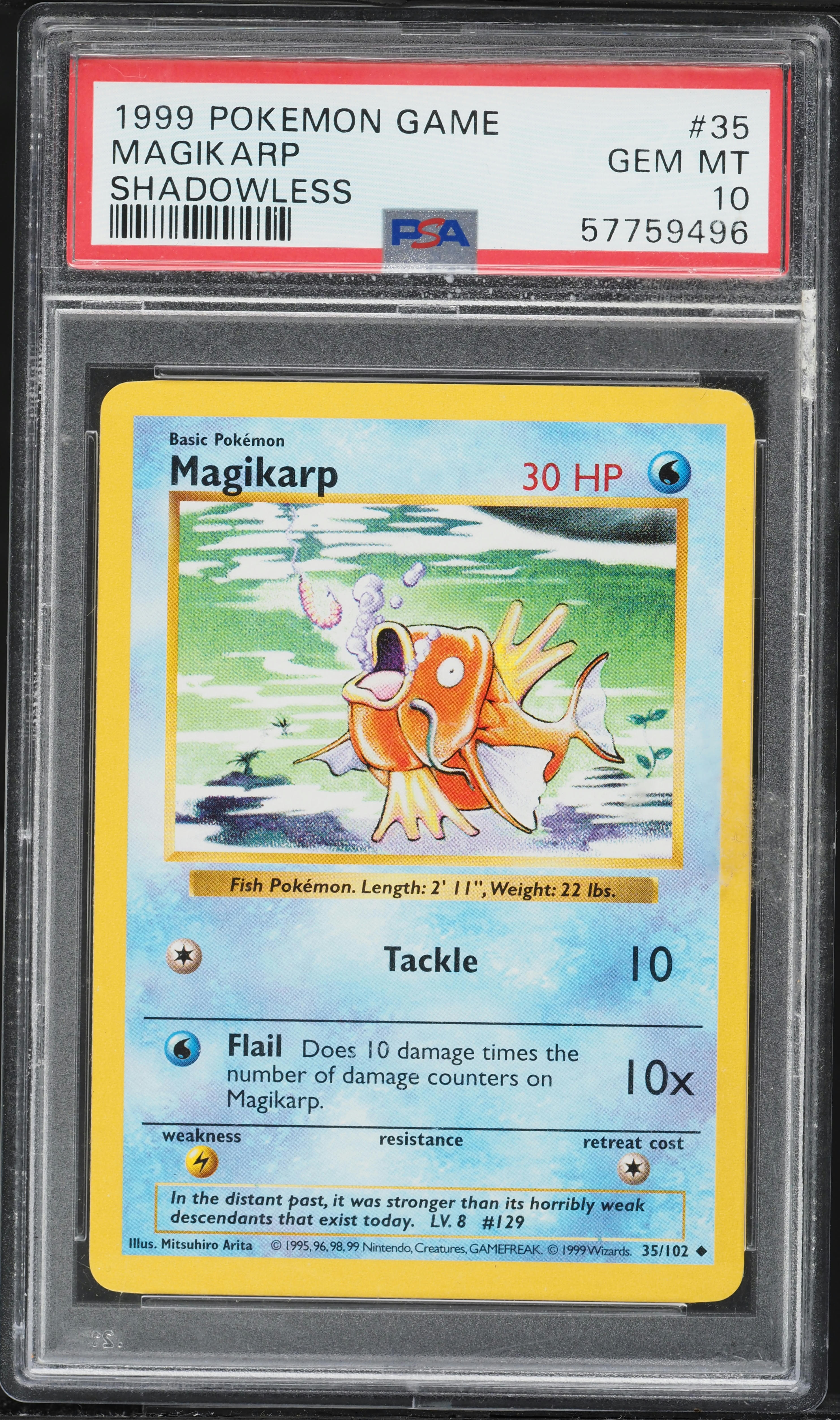 Magikarp