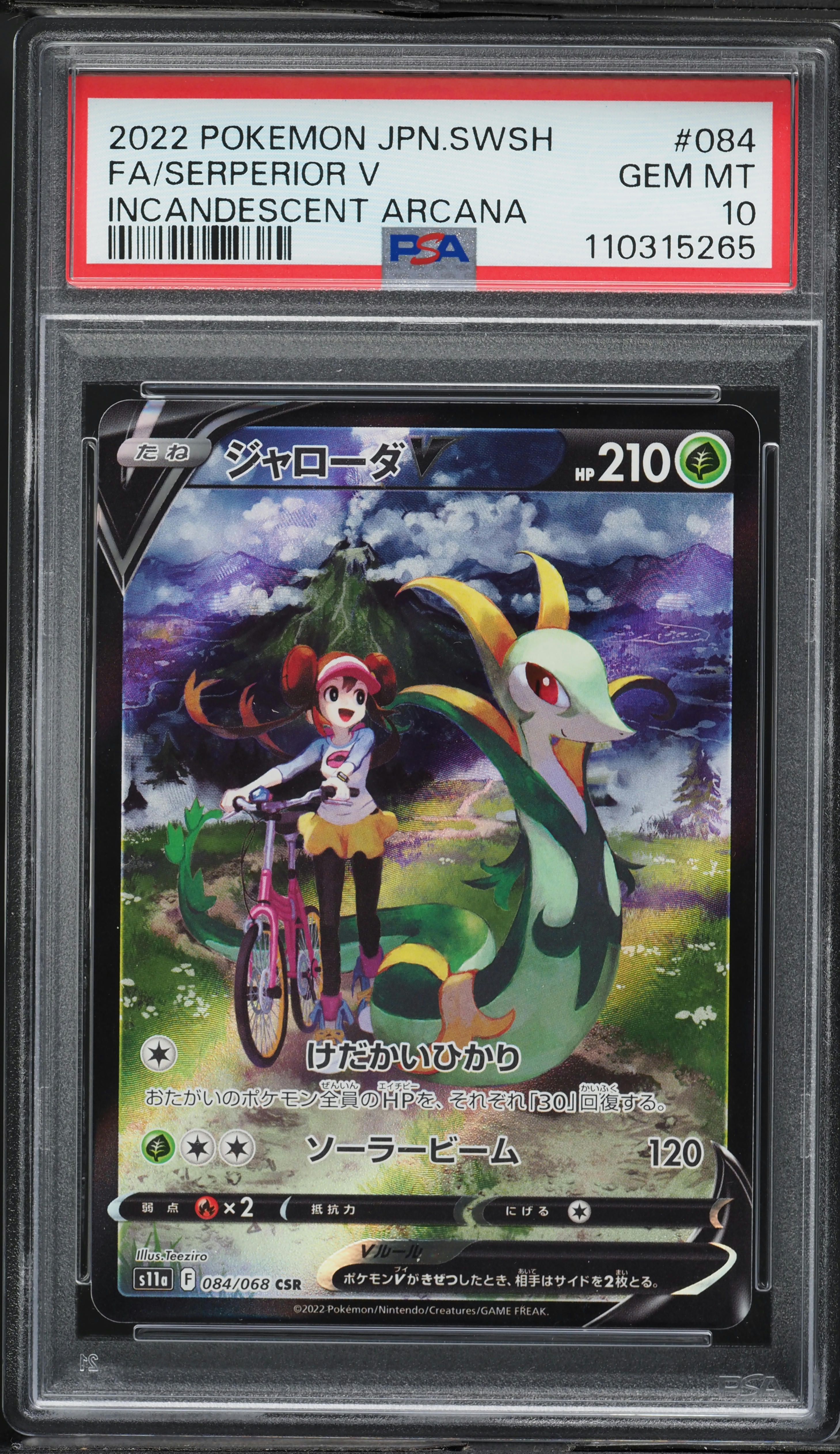 Full Art/Serperior V
