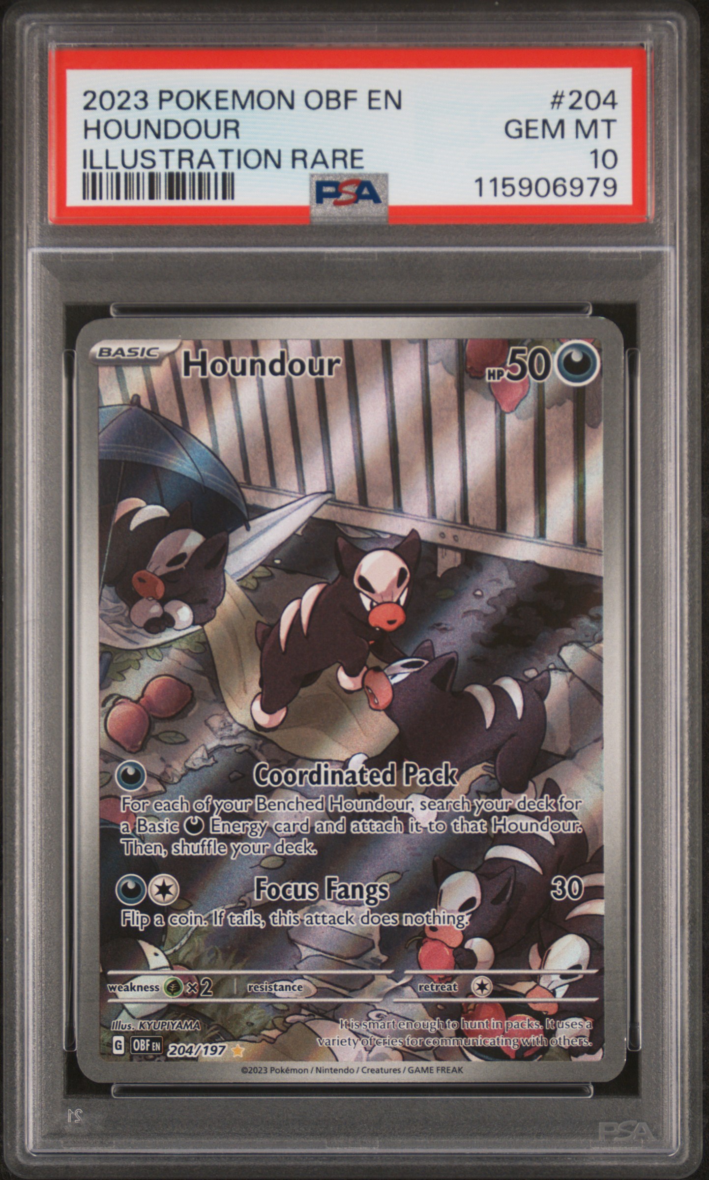 Houndour