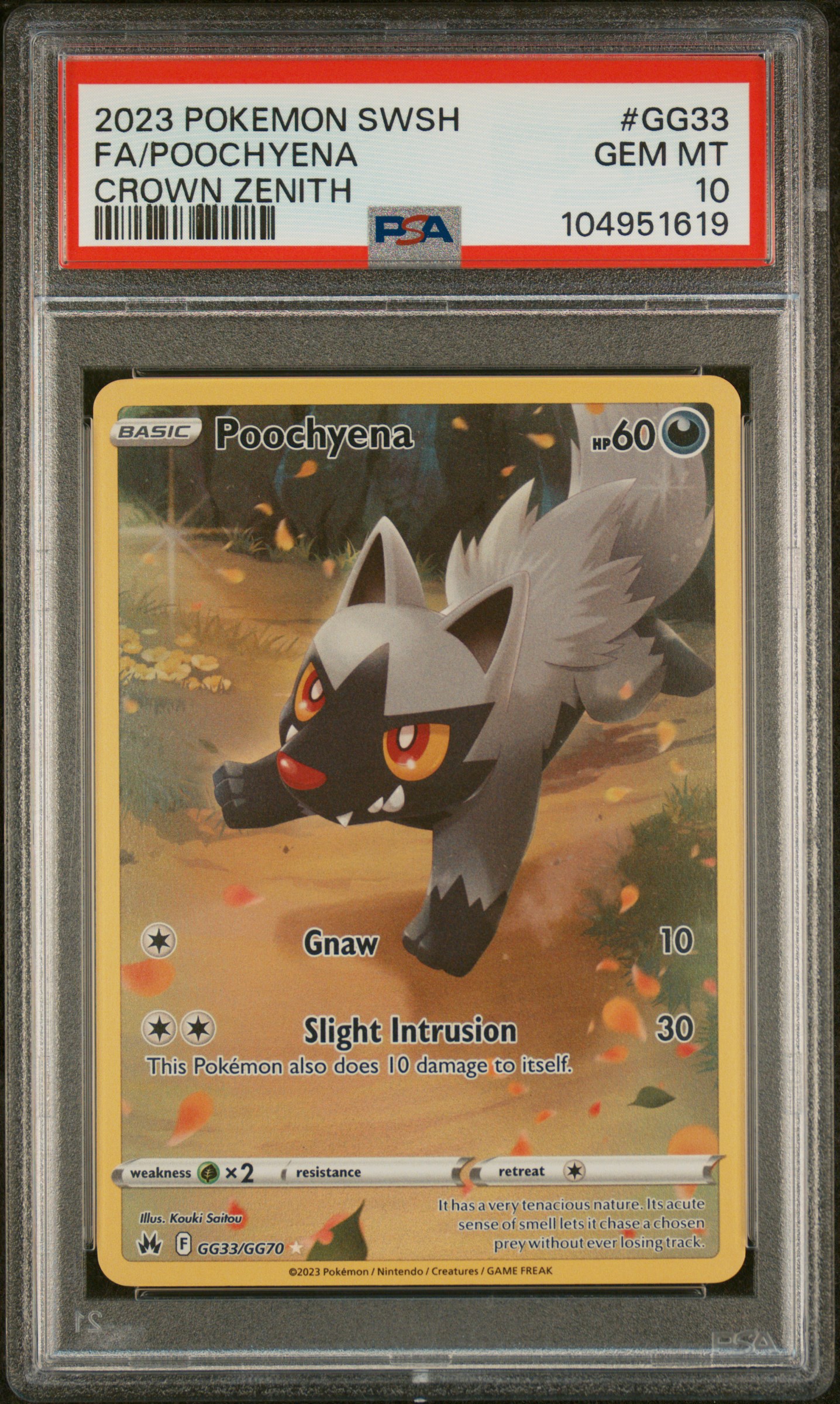 Full Art/Poochyena