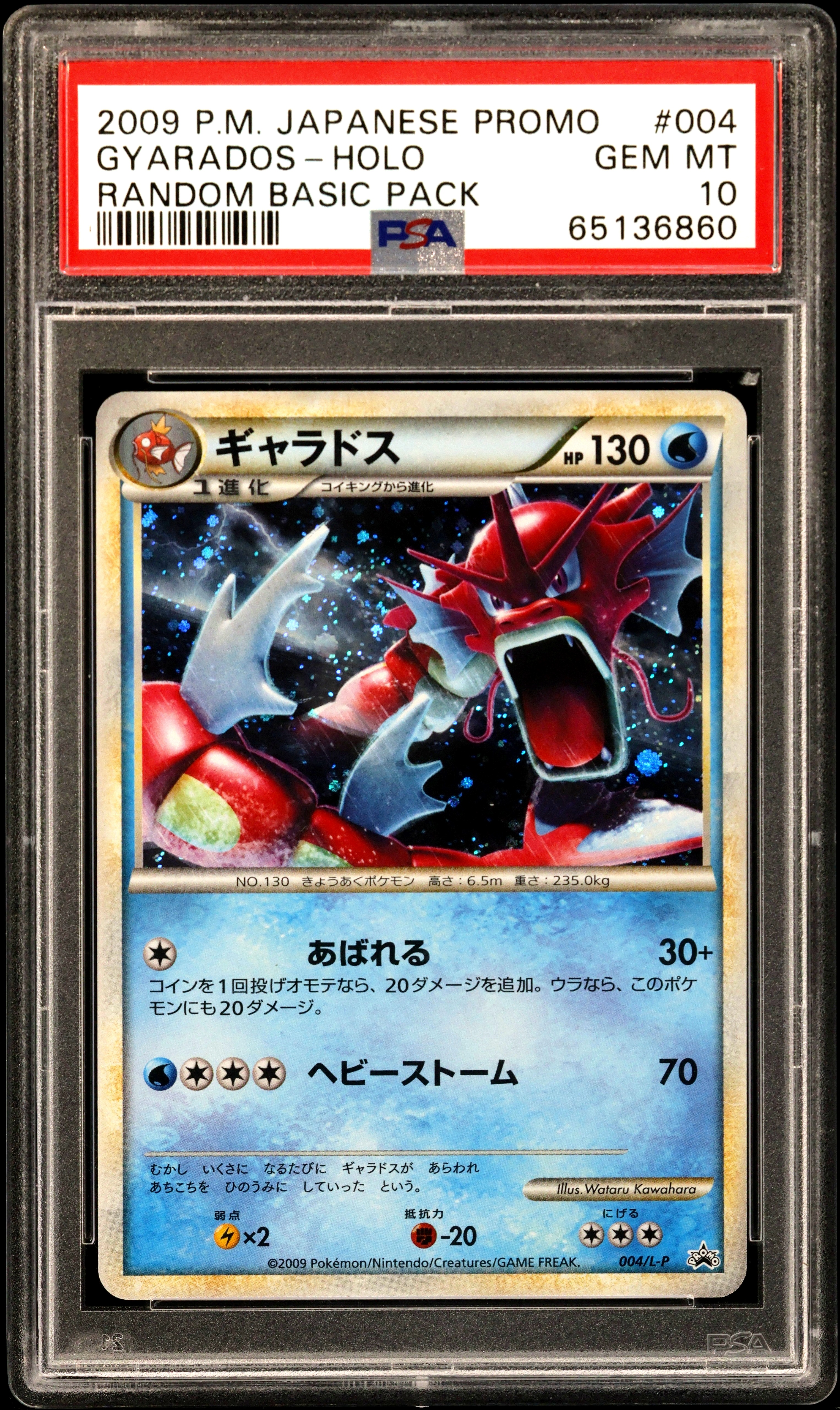 Gyarados-Holo