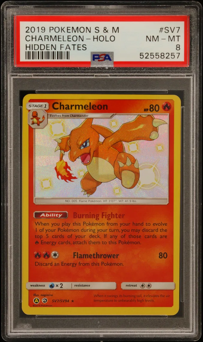 2019 #SV7 Charmeleon-Holo PSA 8 Sun & Moon Hidden Fates